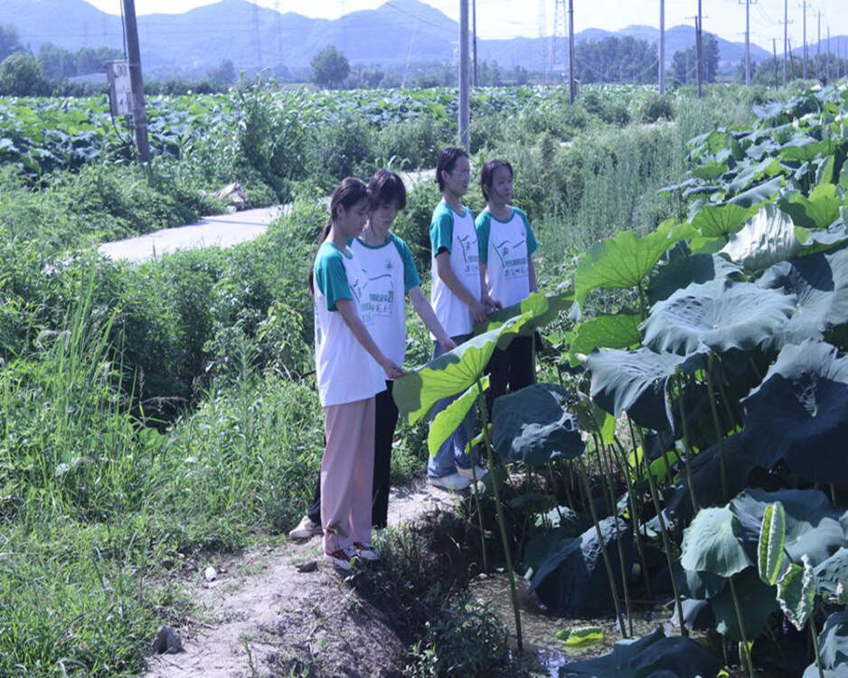 ��ɽ֮��ʼ����Ū���ڽ�(j��ng)�v���w򞣬���w��Ы@��