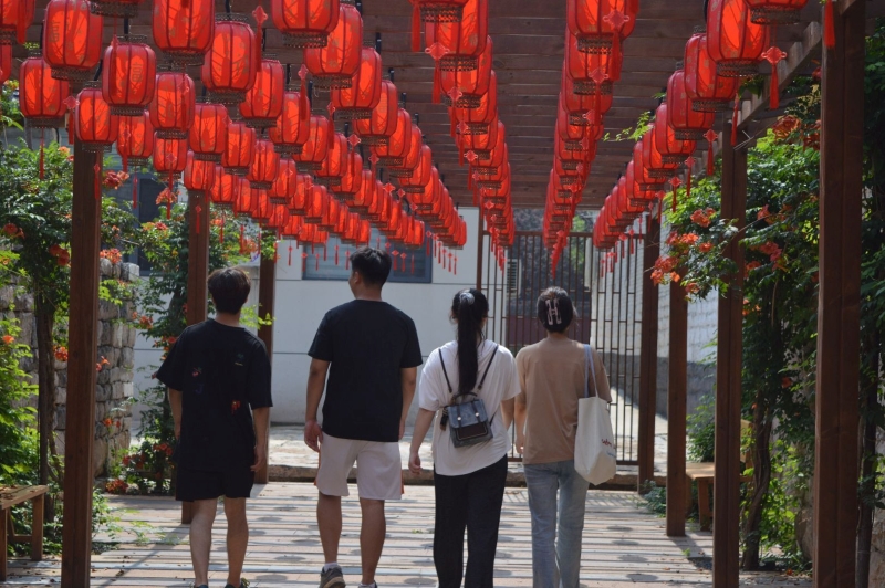 �����ʉ�֧����ӛ��̽�����y֮�������Lͯ�残��