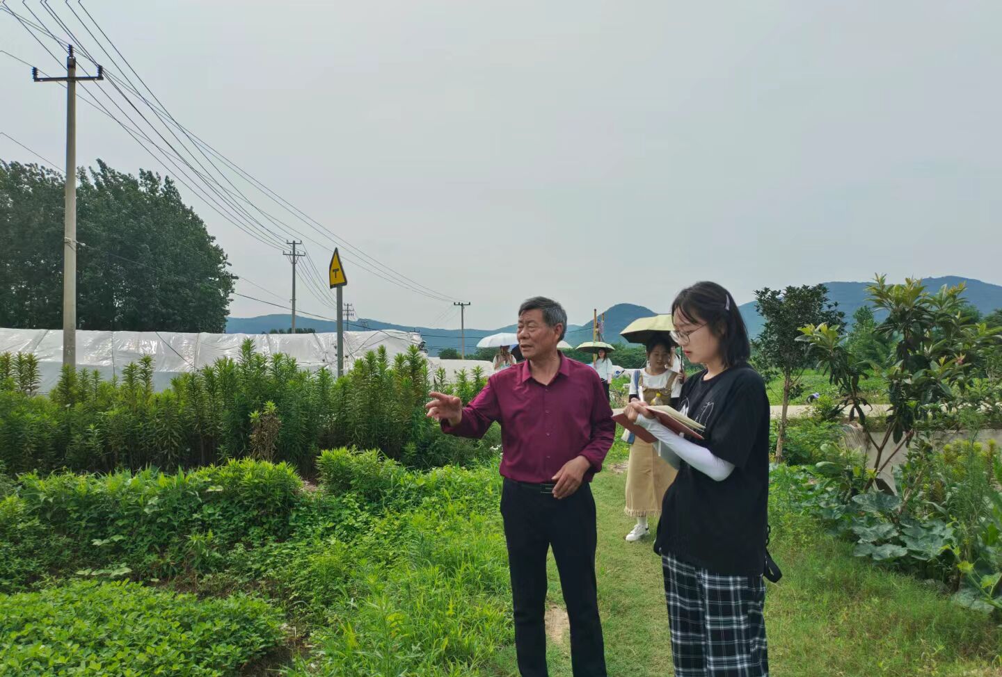 ��ɣ�����d����İ���¡����`�F��������ʡ�����������ʮ���ʮ�|��^�M�л��