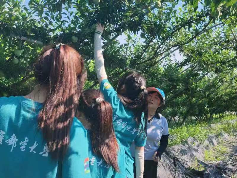 ���]�W�ӻ��펧؛���������̡���һ��̽���r�I���Lò