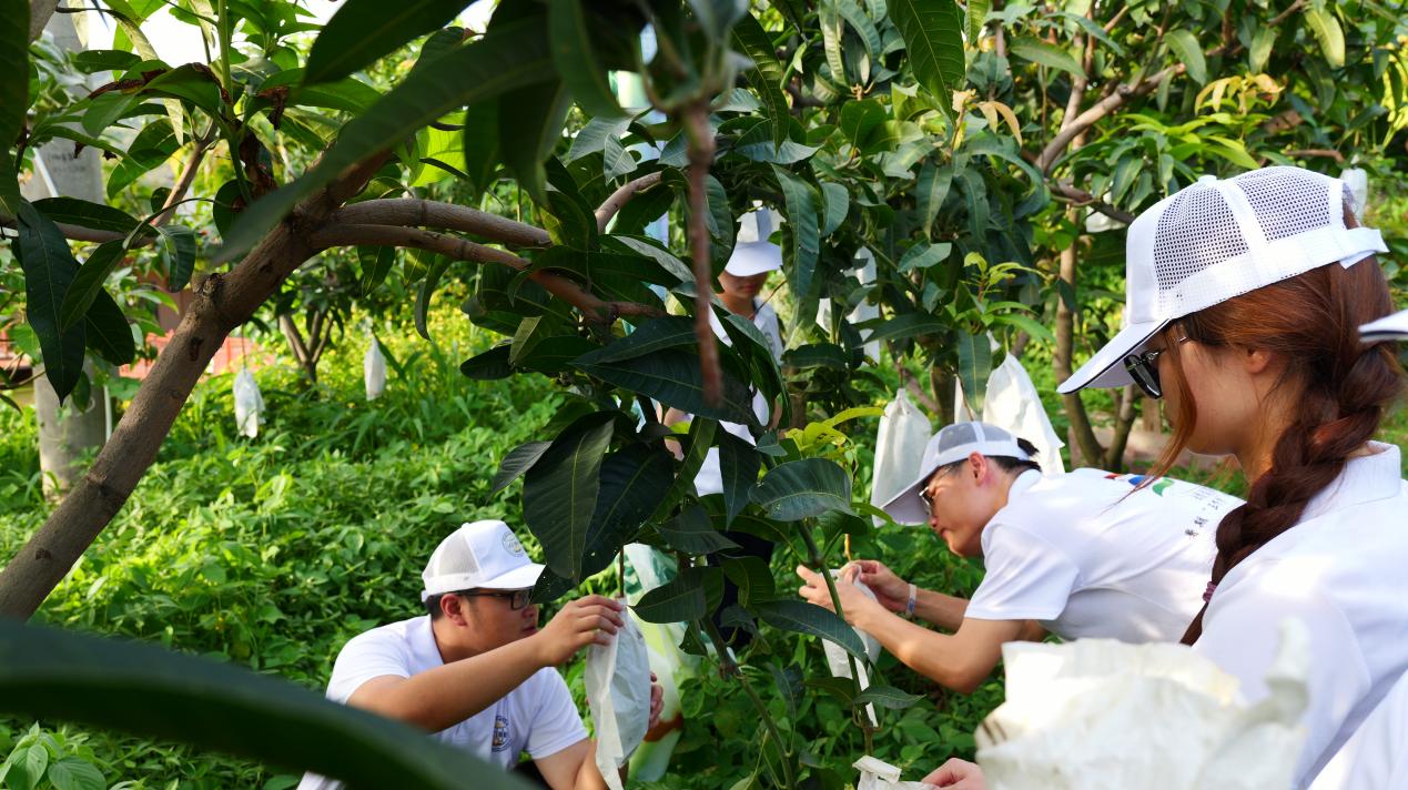 ������â���QԺ�W�����Є�