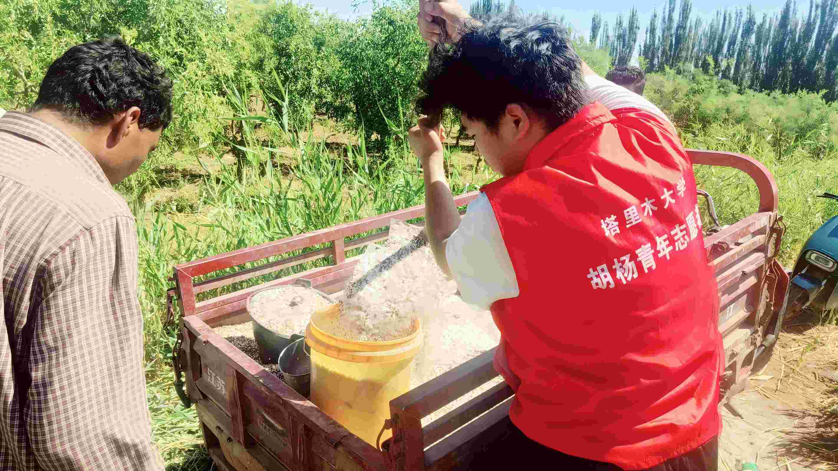 �����Gɫ���d�����B(y��ng)���@������