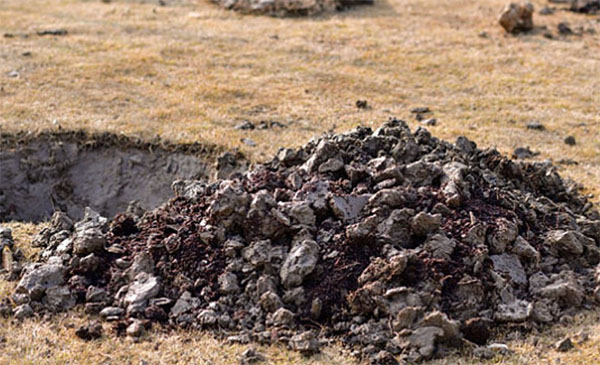 �߂����у�