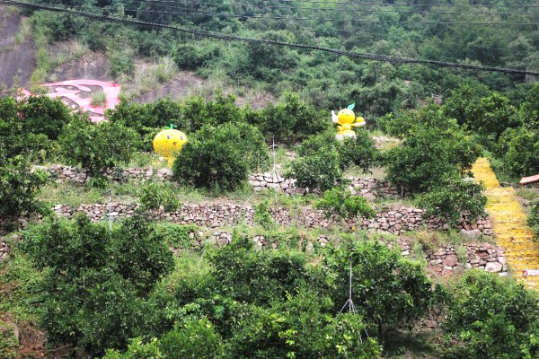 ��h�|���WԺ��С�ȹ��¡����`ꠣ�̽��߸Ϫ�����w���ں��I�B�������L�����B�����°lչ