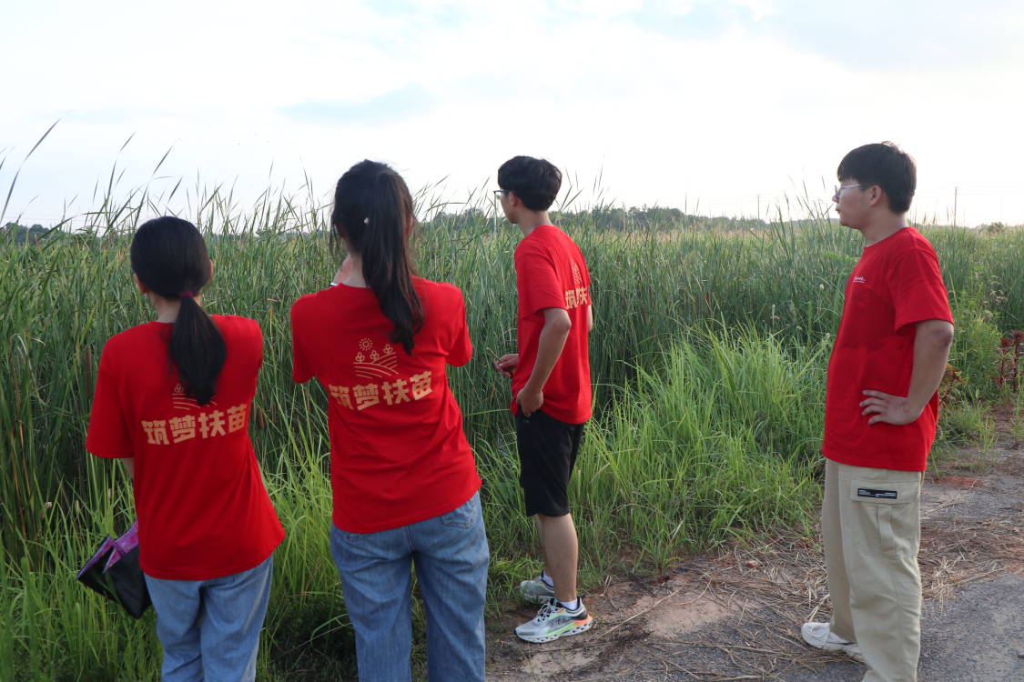 ��Դ���h-�������猍�`����t���r�I��˾�_չ�����{��