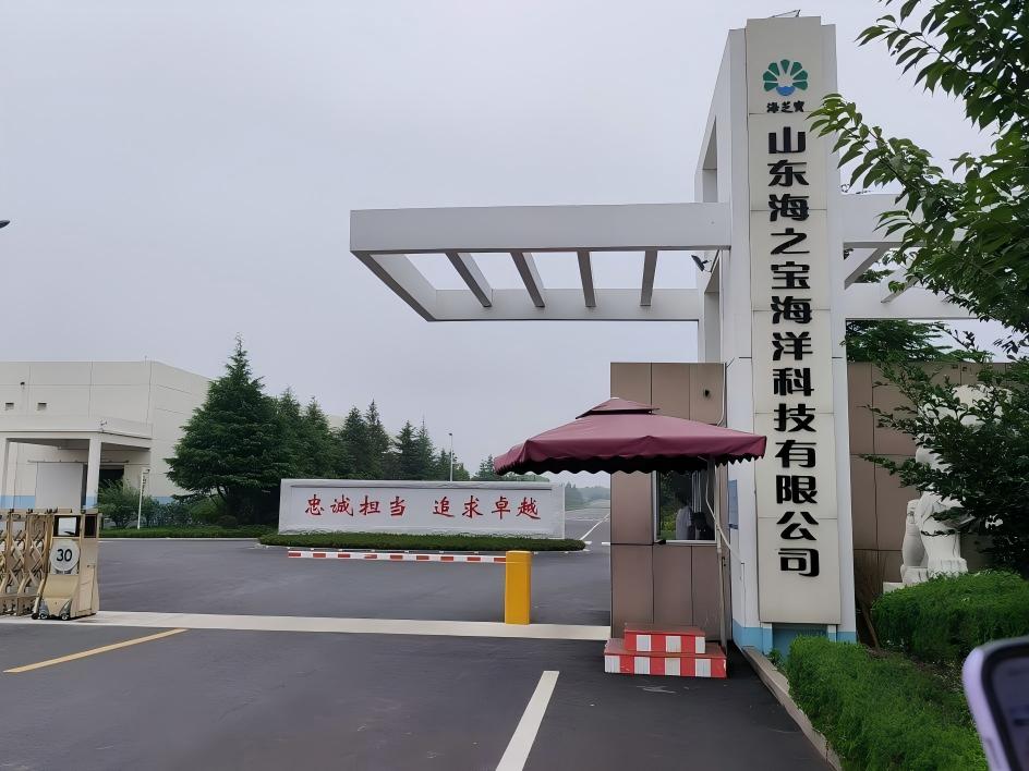 ����a�Iۏ��·���������{�m׷��