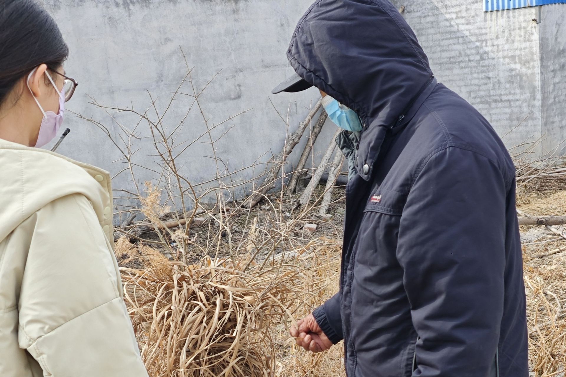 ���r(n��ng)�˓�(d��n)ʹ�����l(xi��ng)�����d�V��ƪ