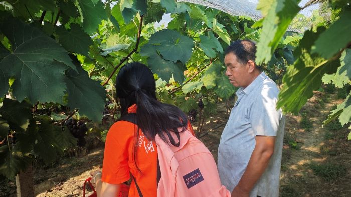 ����M�@�����d �r(n��ng)���ں��L��ƪ