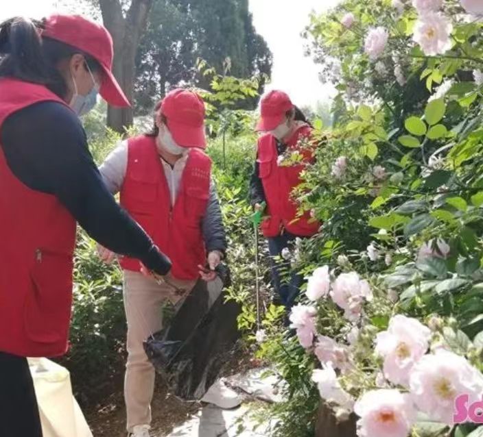 ĵ�����_̎�����ʺʝɜض�