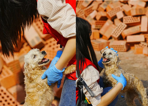 ������ɫ�ʣ�׌�۲�����