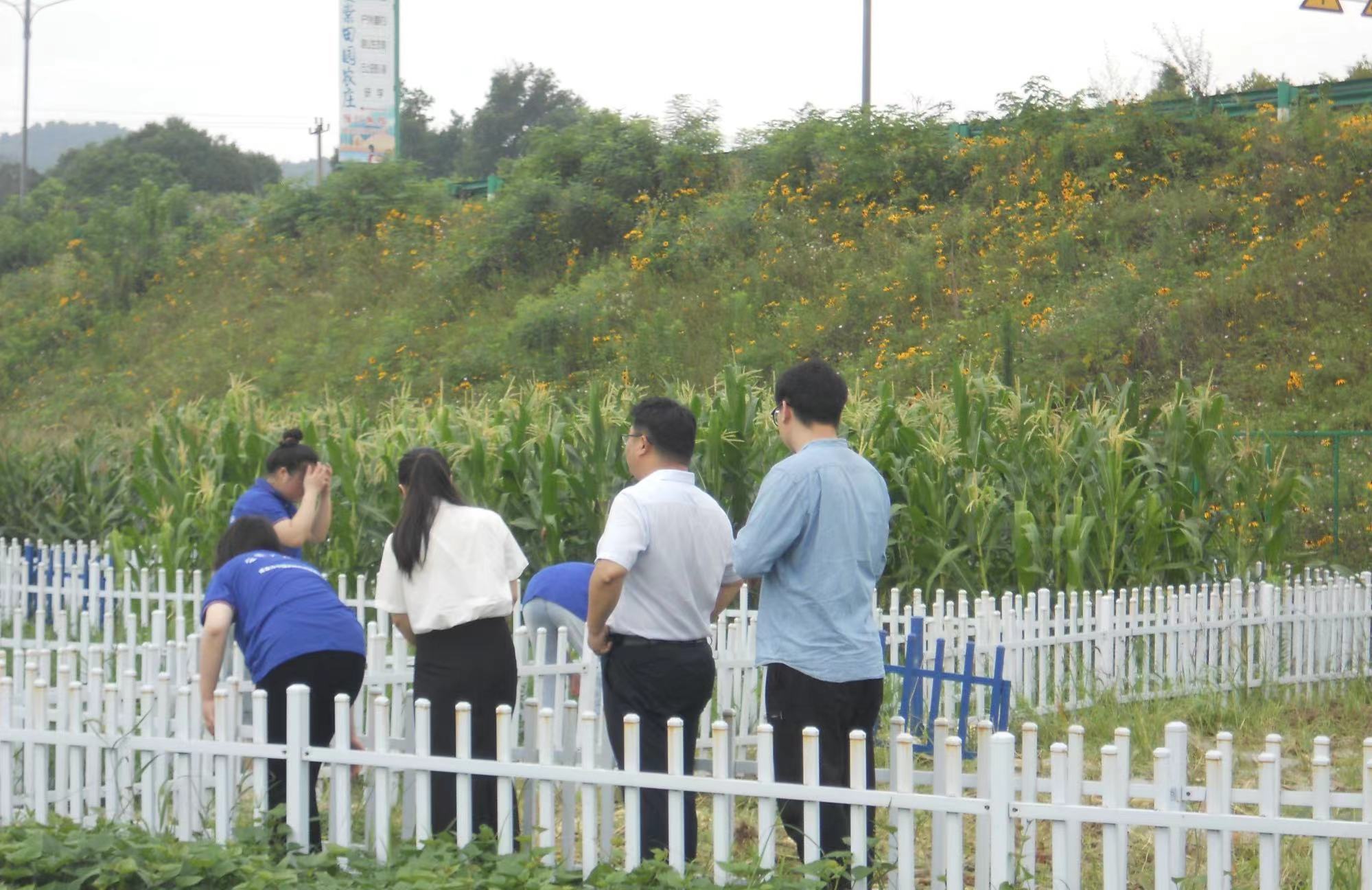 �GҰ���������С�������(y��ng)�(du��)���r(n��ng)��(ch��ng)֮��