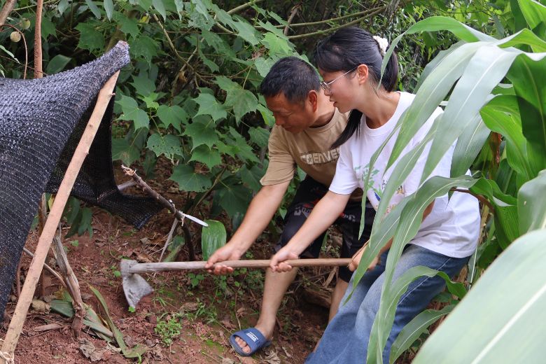 �����t(y��)�WԺ�W�������l(xi��ng)���r���w��н�𣬉��L�����n�l(xi��ng)��