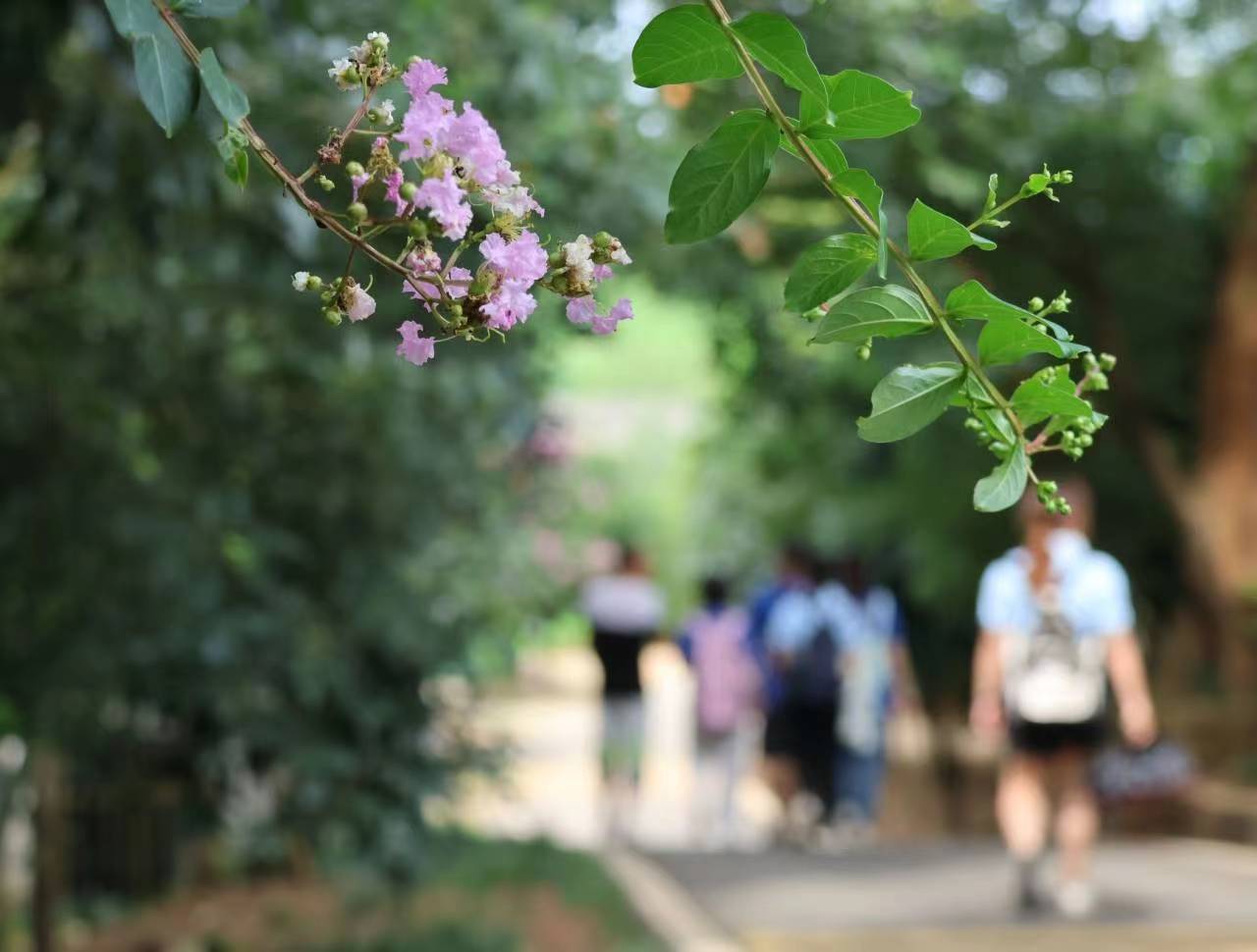 ��ˮ�������L�����B���Ӻ��®��� �������W�Ӹ����Ӻ��^�_չ���`�{��