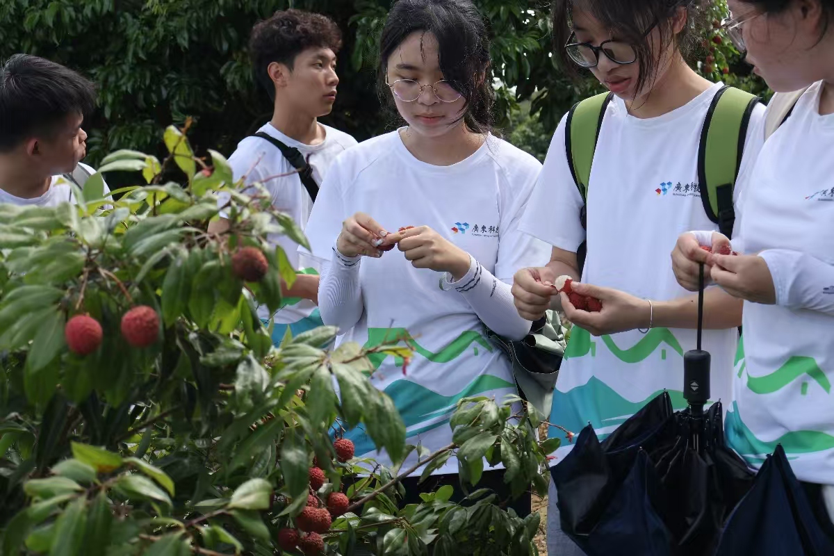 �V�|�Ƽ��W(xu��)Ժ����S�л��r(n��ng)�Ą�(chu��ng)�l(xi��ng)�����dͻ���(du��)|��퍾��������ľS�� ����