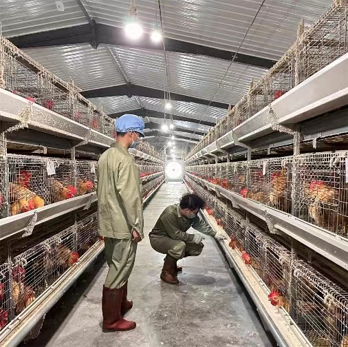 ��ǧ�f���̣����ݽ����l(w��i)ʿ��(sh��)�`�F(tu��n)��������ϴ�������ԇ�(y��n)�����y���_��(chu��ng)�uֻ�w�رO(ji��n)�y��(sh��)��(j��)����ƪ�£�