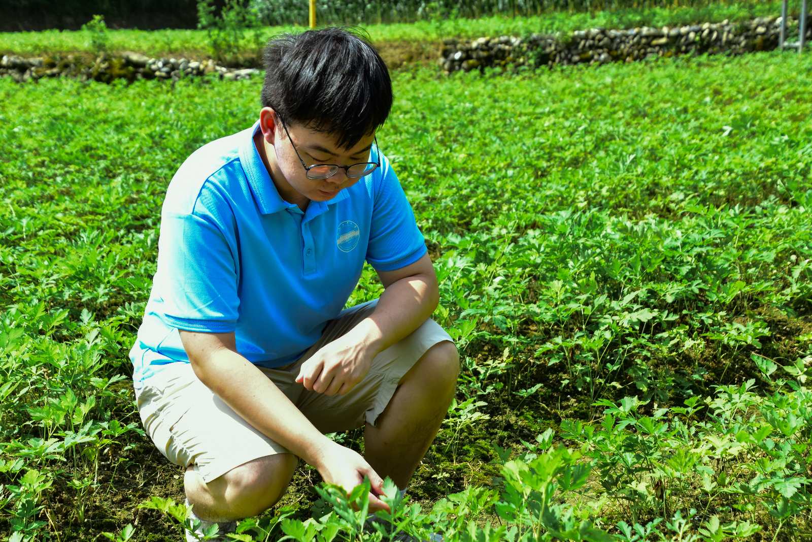 �ഺ�I���g�����������l�����d��ƪ��