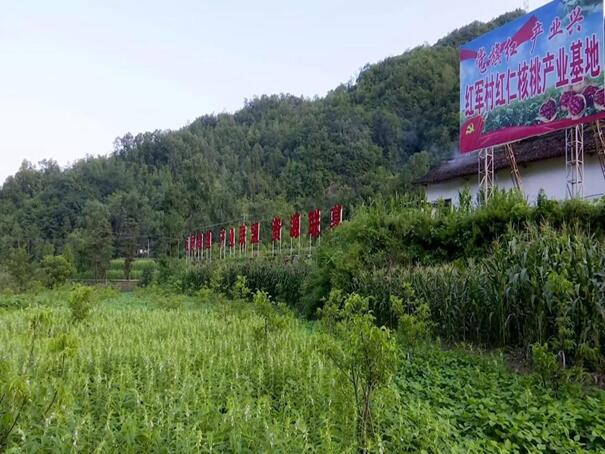 ��ɣ�����d����İ���¡����`�F̽���l�����d֮·