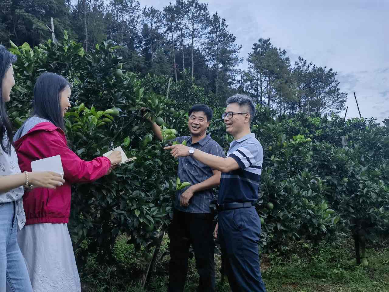 ��ؚ���d�L���ϡ��D��Ԋ���h���顰�ȡ���