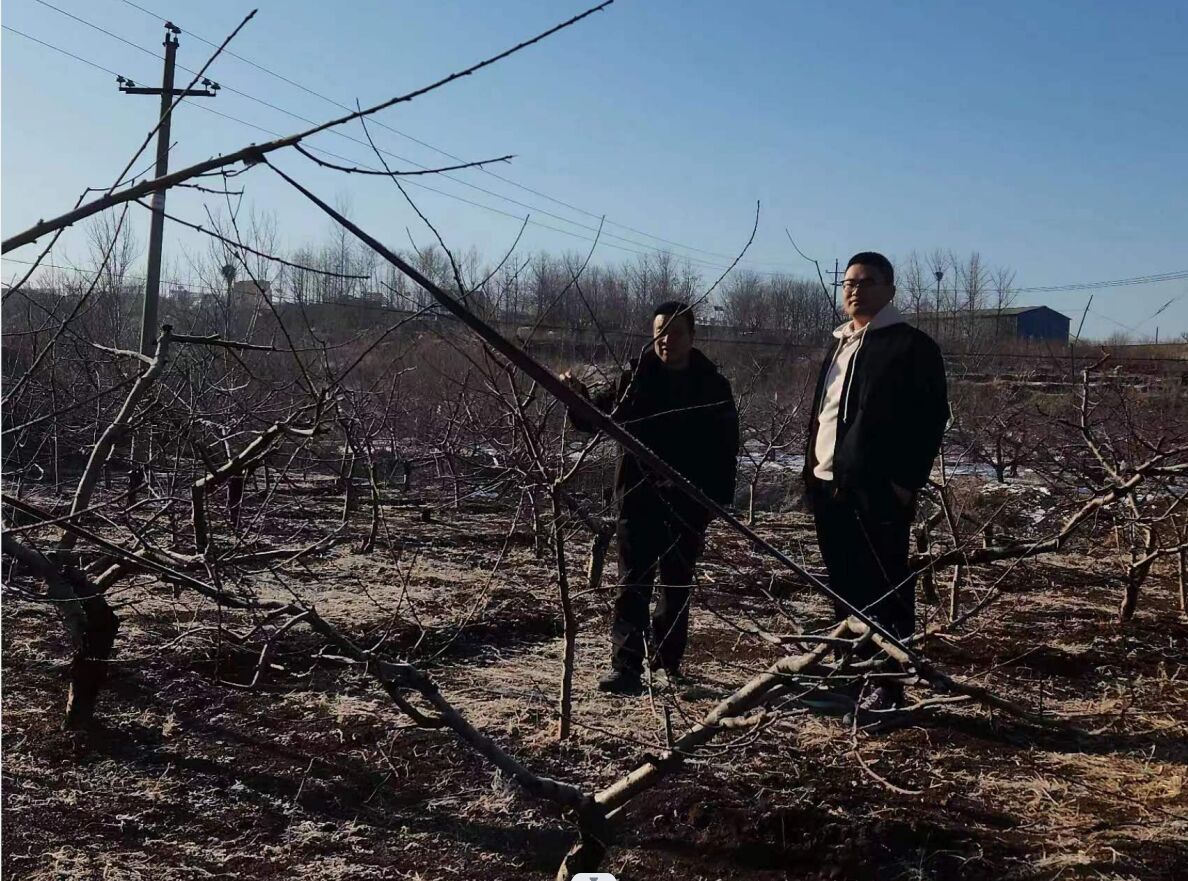 ��ɣ�����r(n��ng)���飬���B(t��i)���С��{(di��o)�ЈF(tu��n)��(sh��)���{(di��o)��