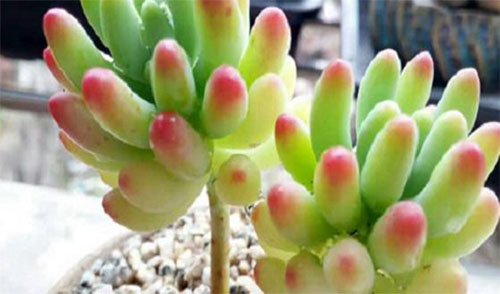 һ���Y��δ֪֮�� ��������L�S��