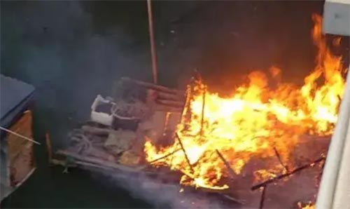 ��Ԫ谟���