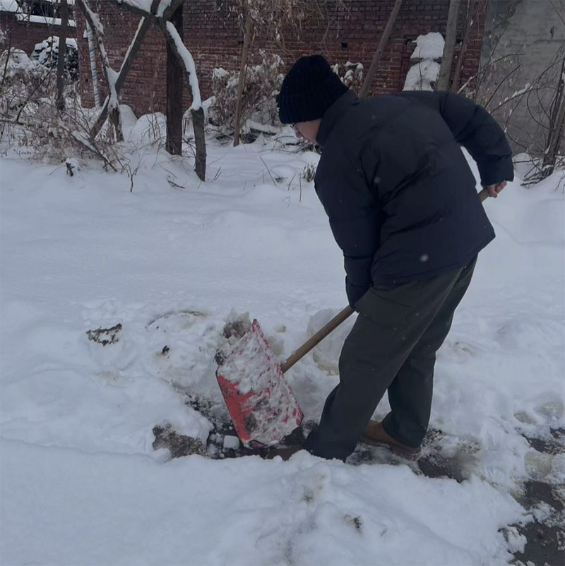 �L����W(xu��)���όW(xu��)Ժ2021����������־�ԅ��Ӻ���������`��ӡ�