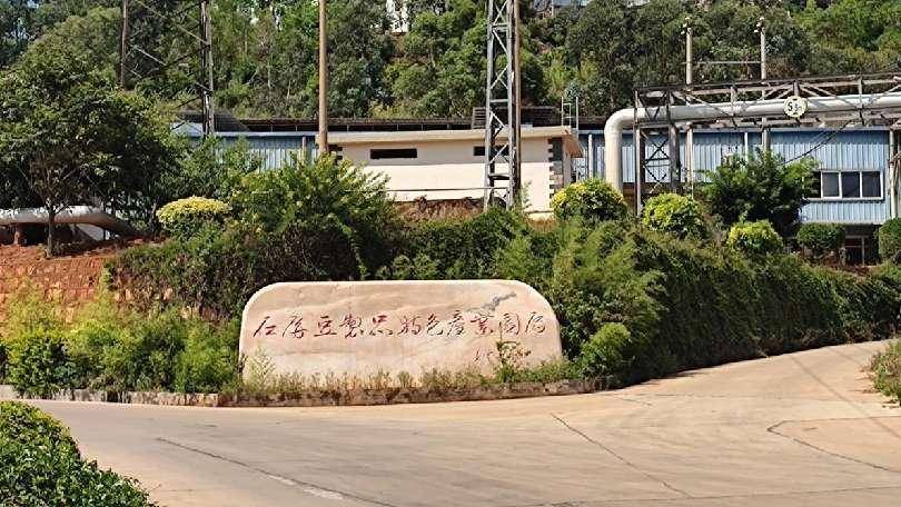 �ſ،WԺ����������`С�M���l���`̽�L�����S