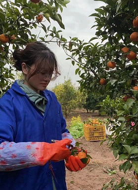 ���l�����d��������`�������{����