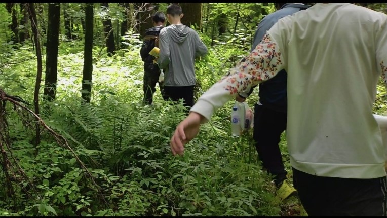 �Ї�(gu��)�V�I(y��)��W(xu��)���̷�̽Ӱ����(sh��)�`�F(tu��n)���L(zh��ng)��ɽ�؅^(q��)�M(j��n)�����B(t��i)���o(h��)�{(di��o)��