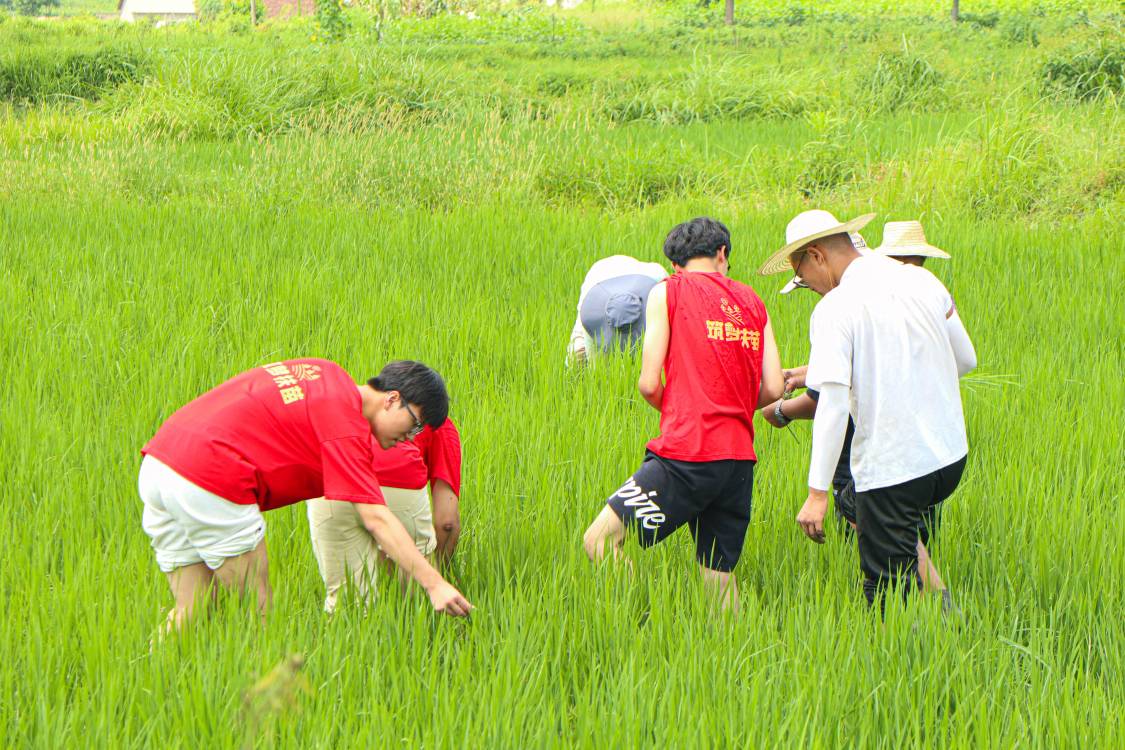 Ͷ���l�����d����ʯ���`ꠞ��l��lչע���ഺ����