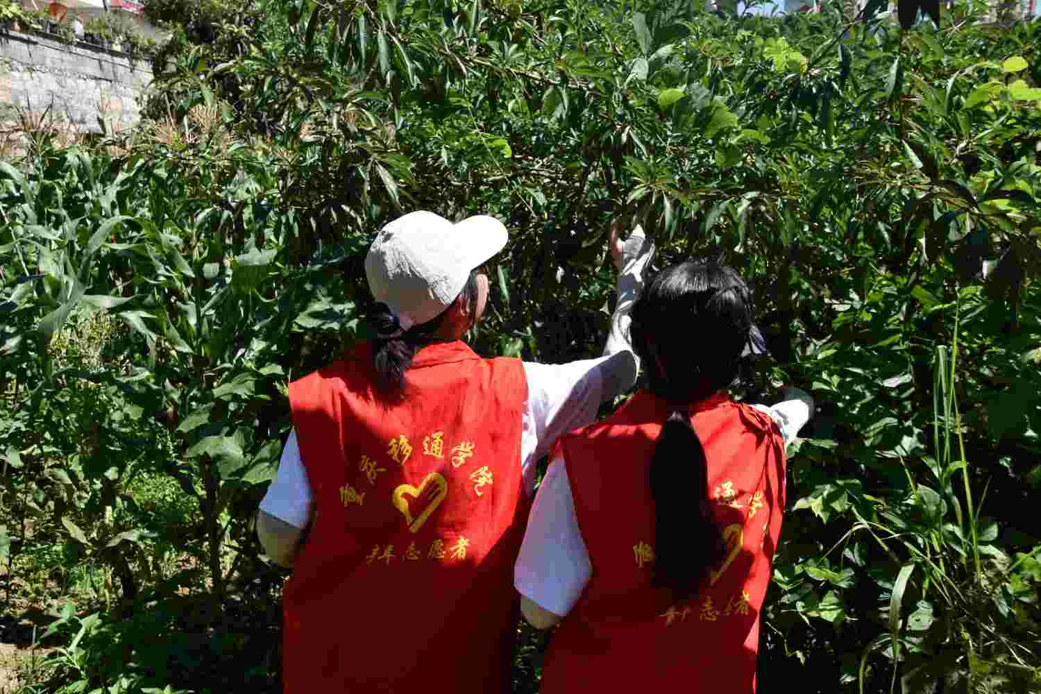 �p���{���x���l�����d ʮ��֮�s�ن��̡������tɫ��ʹ���L���hʷ�W�������F