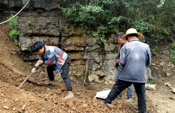 ��ɽ����ţ������J���¸�·