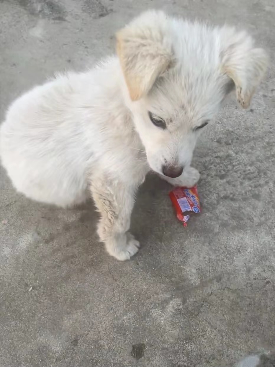 ׌�����һ�c(di��n)�c(di��n)�P(gu��n)��(��i)