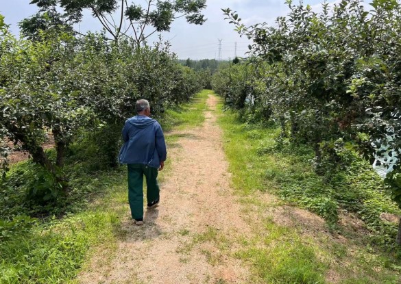 ���ظ��ؼt��,׌�������N������������