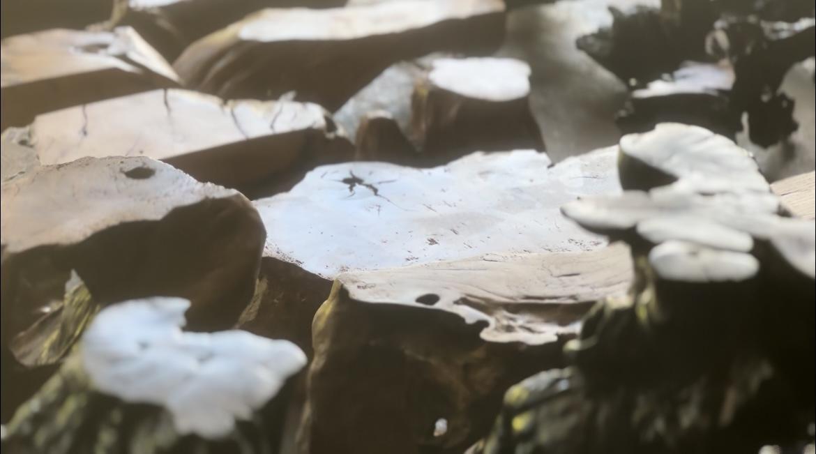 �O�Ը��x��������ഺ�P�������d