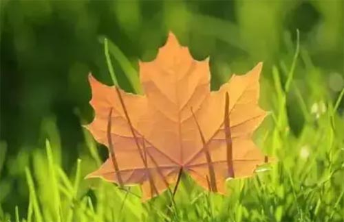 �Ϸ��ļ�С�����L�c����