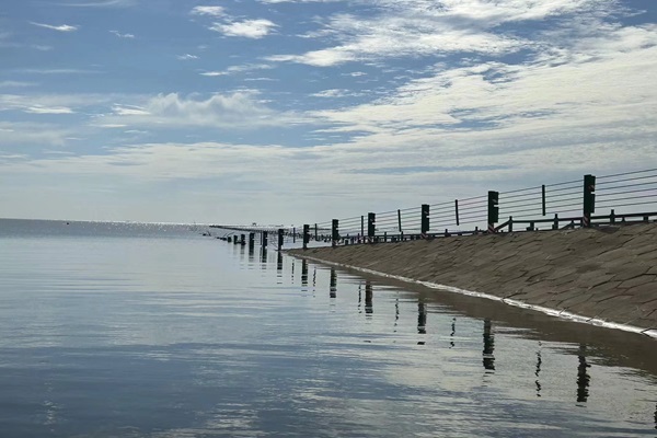 ���н����˲������oˮ����ƪ