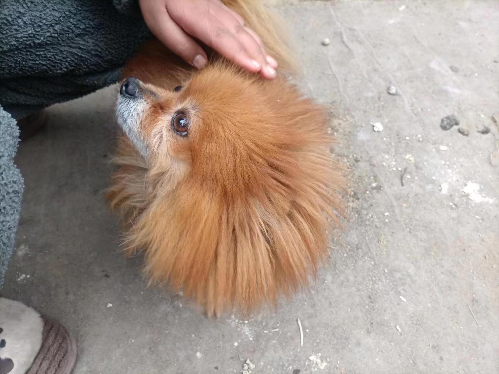 �P�����˄�����f���c�P��