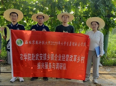 ׌�Ƽ��x���r(n��ng)�I(y��) ׌���`����(w��)�l(xi��ng)��