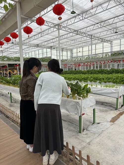 �V��������W(xu��)��߅��̽���(du��)���ɹ��_(k��i)չ���(hu��)��(sh��)�`�{(di��o)�л��(d��ng)