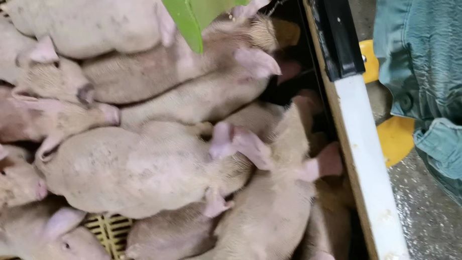 ���M�i��һ���������Ä��t��