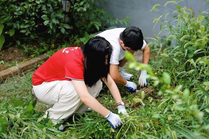 ���ƈ�(zh��)�P�L��; �﹡����ůͯ��