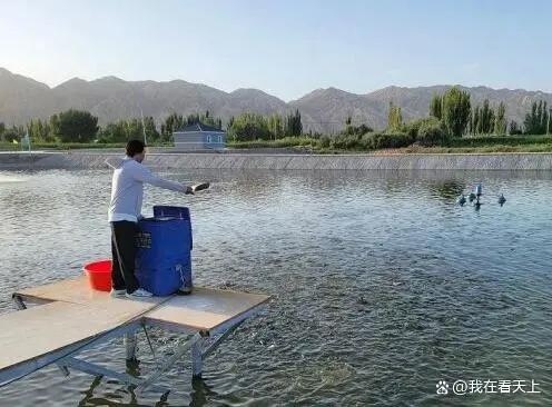 �½����a���S��:��ꑺ��r���L��