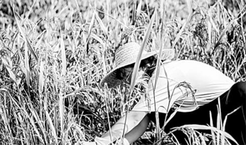 ���҂��@ʮ����ഺ���`��ӛ����˼�����`�nҊ�C�^�M�r��