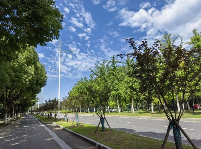 ��Ӌ�WԺ�����������H�I�У���^�h��������