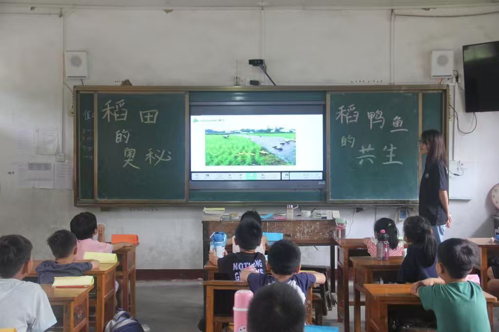 ̽���r��С���磺���~���������B���C��