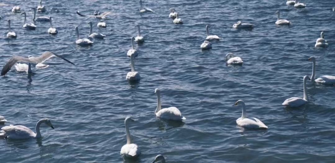 ��·��������