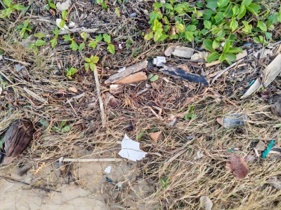 ɽ�|��W����ɰ���[���{�ЈF�����{�������_չ��һ��