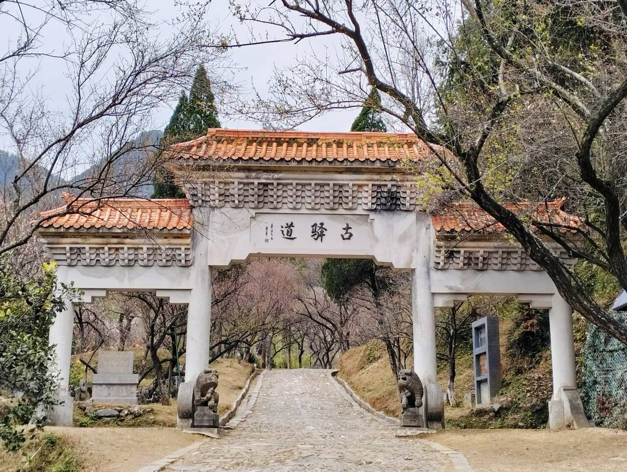 ̤��÷�P��퍣��p�W�A���L�A