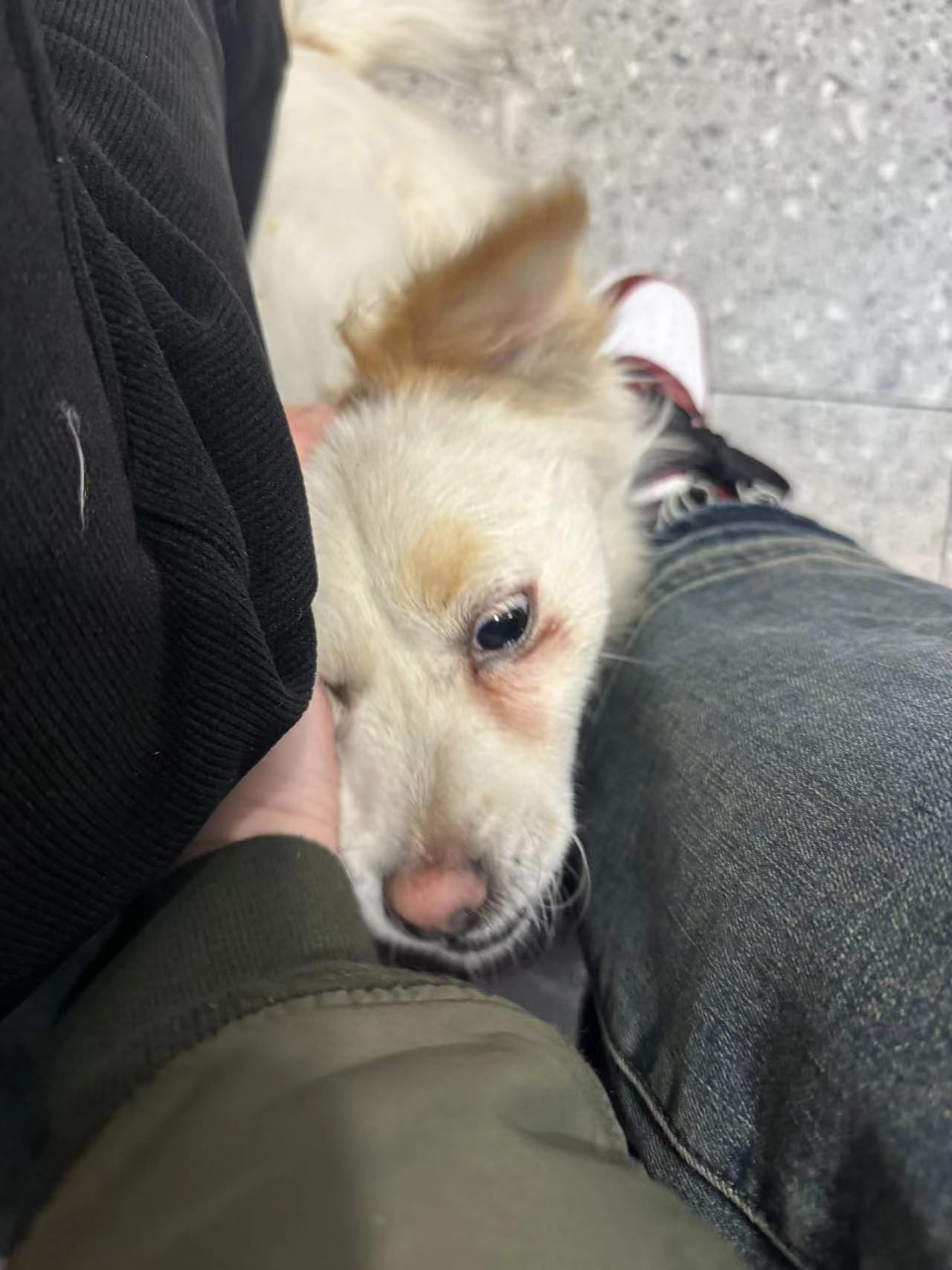 �P�����˄���������`